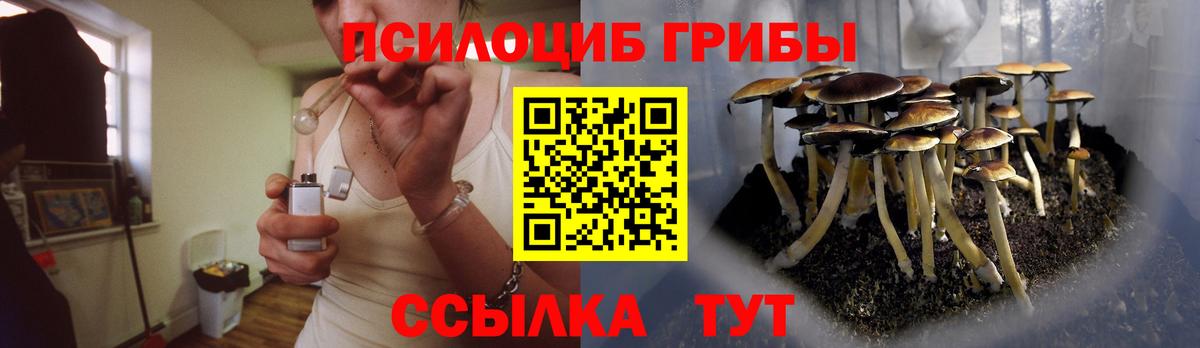Ливны  Галлюциногенные грибы GOLDEN TEACHER  Вход с VPN 