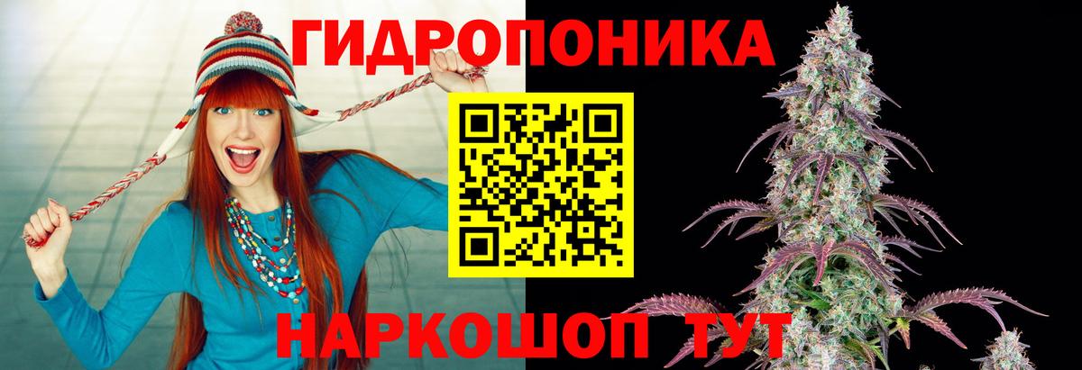 Марихуана Bruce Banner Ливны